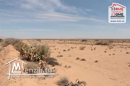 Terrain Agricole à Vendre à Sidi Aich