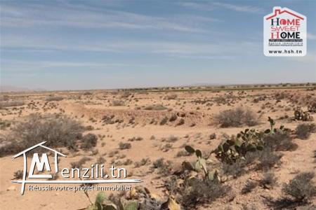 Terrain Agricole à Vendre à Sidi Aich