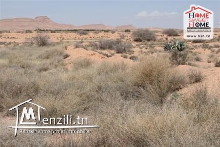 Terrain Agricole à Vendre à Sidi Aich