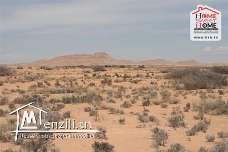 Terrain Agricole à Vendre à Sidi Aich