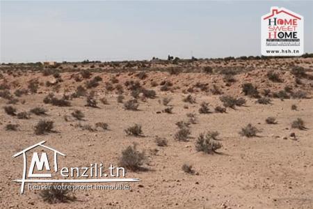 Terrain Agricole à Vendre à Sidi Aich