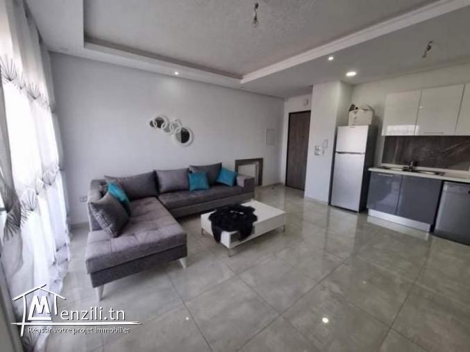 Appartement GRIS (Réf: V2573)