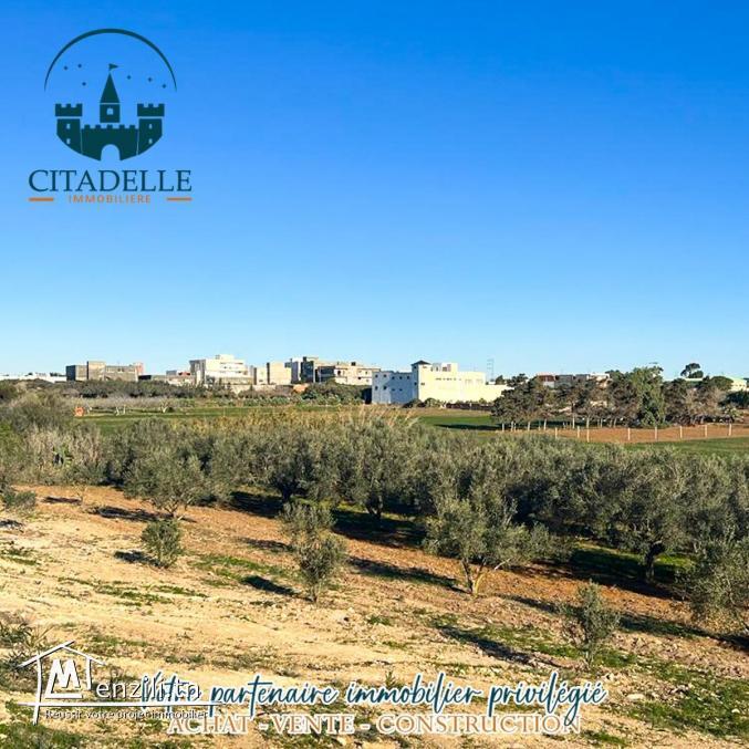 للبيع أرض في قليبية عين غرينز