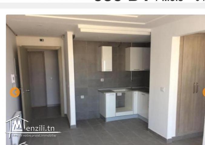 Joli S+1 Boumhel Bassatine