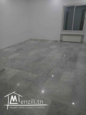 a louer luxueux s+1  ennaser 2