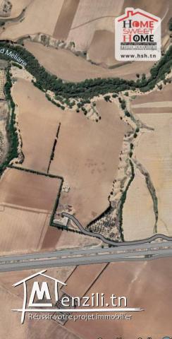 Terrain Promoteur EL Anja à Vendre à Mehammedia