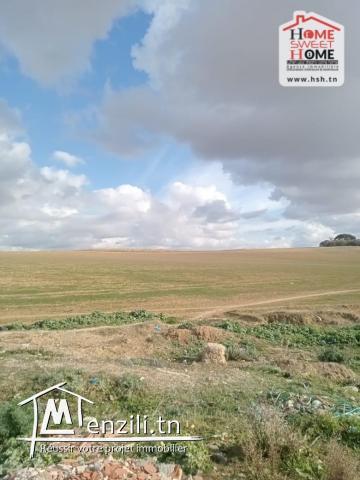 Terrain Promoteur EL Anja à Vendre à Mehammedia