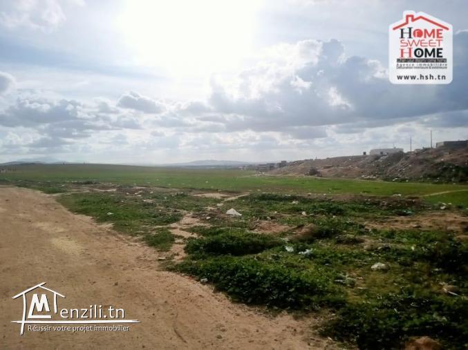Terrain Promoteur EL Anja à Vendre à Mehammedia