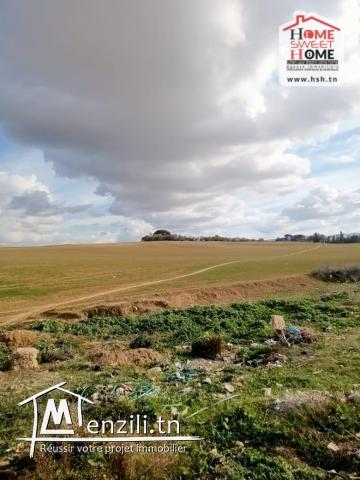 Terrain Promoteur EL Anja à Vendre à Mehammedia