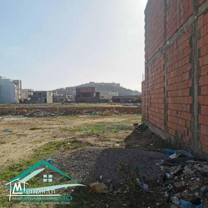 VT770Terrain d’habitation 253 m² à jinen el mansourah kelibia