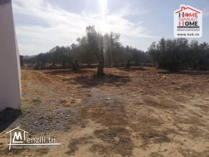 Terrain Villa Zafra à Vendre à Chat Mariem Sousse