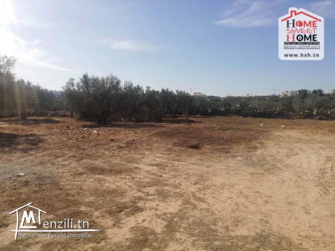 Terrain Villa Zafra à Vendre à Chat Mariem Sousse