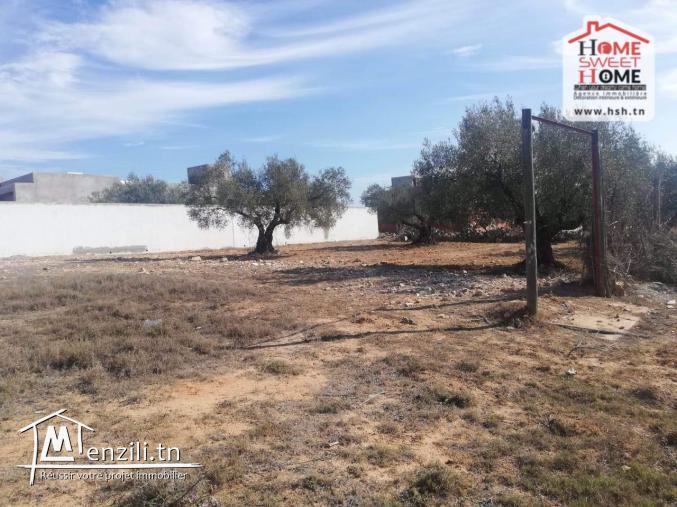 Terrain Villa Zafra à Vendre à Chat Mariem Sousse