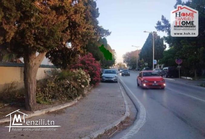 Terrain de Villa Carthaginian à Vendre à Carthage