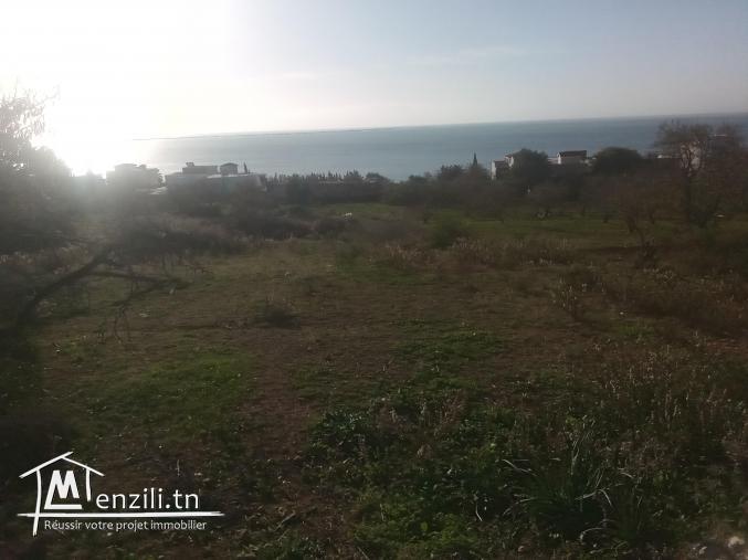 Des lots de terrain a vendre a Ghar El Melh