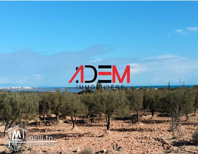 TERRAIN 2060 m à Fouka3iya