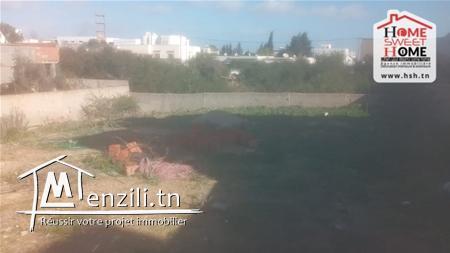 Terrain Gold A Vendre A Cité El Ghazella