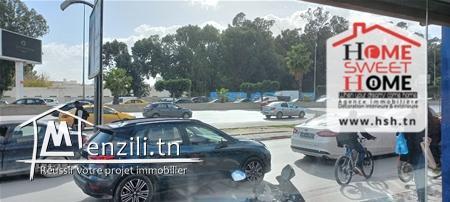 Fond Pierre à Vendre à Ain Zaghouan Nord