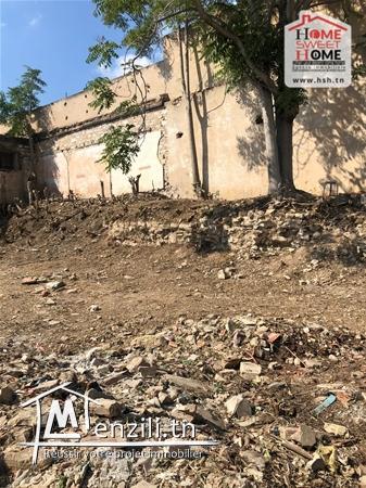 Terrain Promoteur Livourne à Vendre à Dubosville