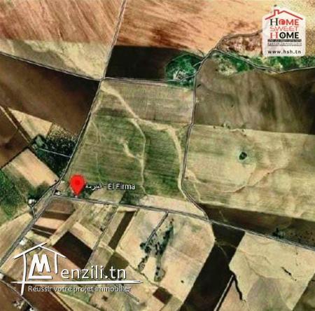 Terrain Teramo à Vendre à Mornaguia