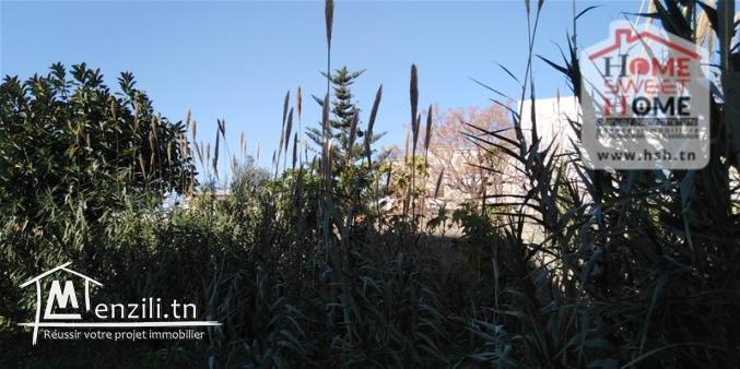 Terrain Gammarth Village