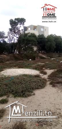 Terrain Idol A Vendre A Raoued