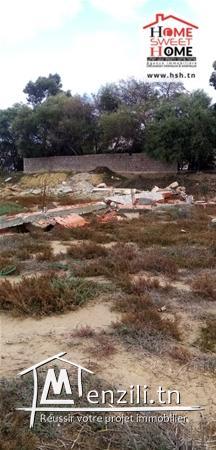Terrain Idol A Vendre A Raoued