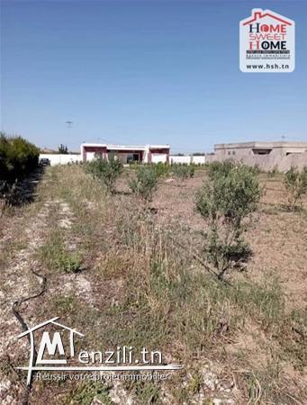 Fermes Sandra A Vendre A Sidi Thabet