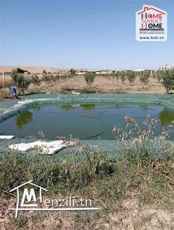 Fermes Sandra A Vendre A Sidi Thabet