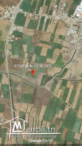 SANIA SITUE A SIDI DAOUD ELHAOUARIA