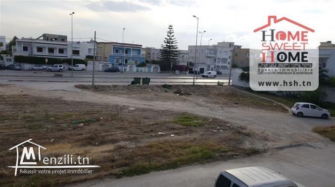 Terrain Coccinelle à Vendre à Cité des pins