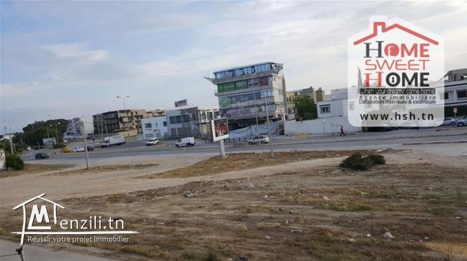 Terrain Coccinelle à Vendre à Cité des pins