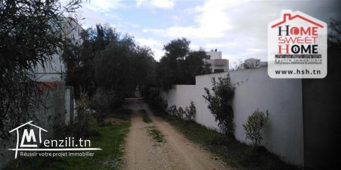 Terrain Villa Velvet à Gammarth foret