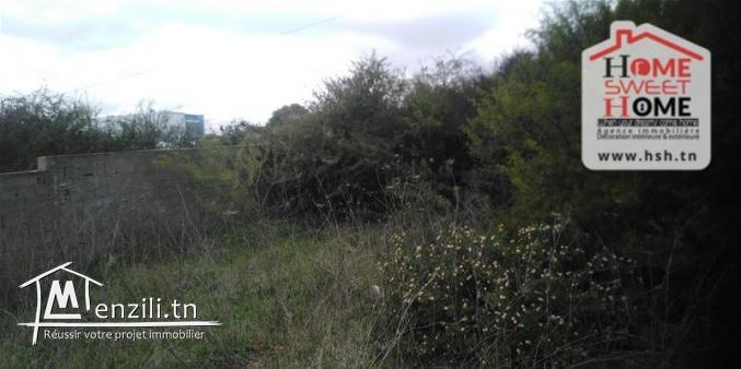 Terrain Villa Velvet à Gammarth foret