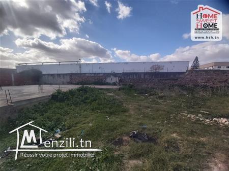 Terrain Villa Molfetta à Vendre à Mornaguia