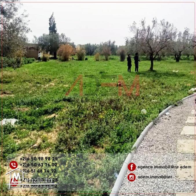 TERRAIN 4200 m à kalla kbira