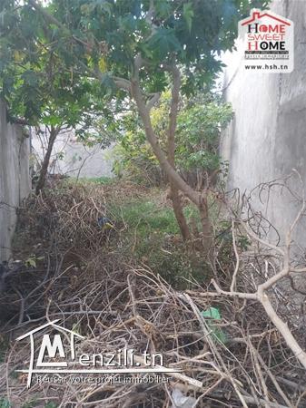 Terrain Villa Irbid à Vendre à Mornaguia