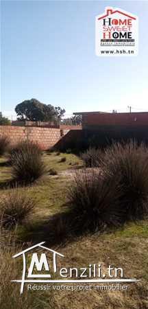 Terrain Serdar A Vendre A raoued Plage