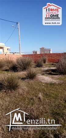 Terrain Serdar A Vendre A raoued Plage