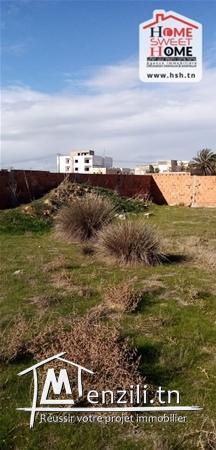 Terrain Glovo A Vendre A Raoued