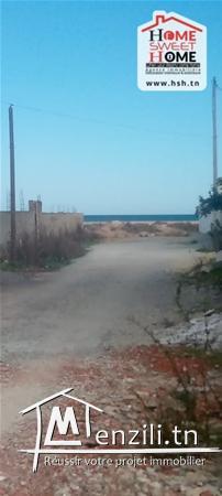 Terrain pard'ice  A Vendre A Raoued