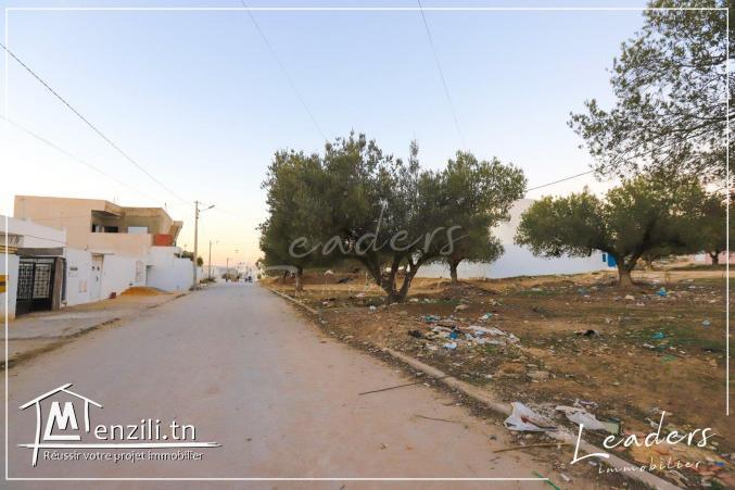a vendre un terrain a hammamet nord 27246306