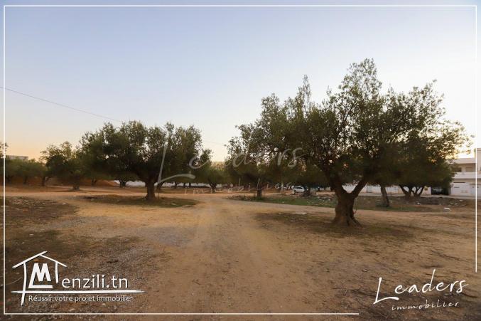 a vendre un terrain a hammamet nord 27246306