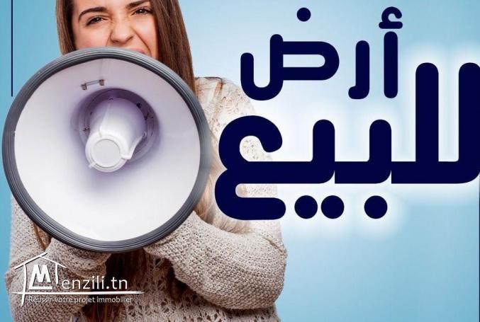 a vendre un terrain a Hammamet sud 27246306