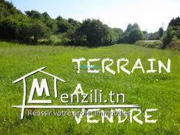Terrain ZAINEB 1 (Réf: T1674)