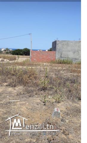 A Vendre Terrain Kelibia EZZAHRA 600 m²