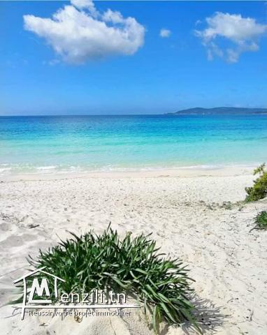 A Vendre Terrain Kelibia EZZAHRA 600 m²