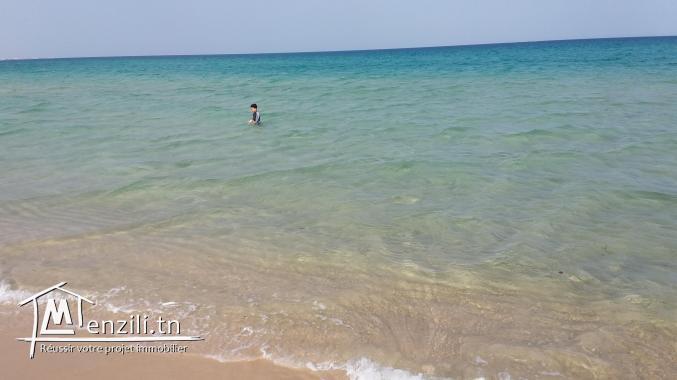 500 m² à Hammammet plage