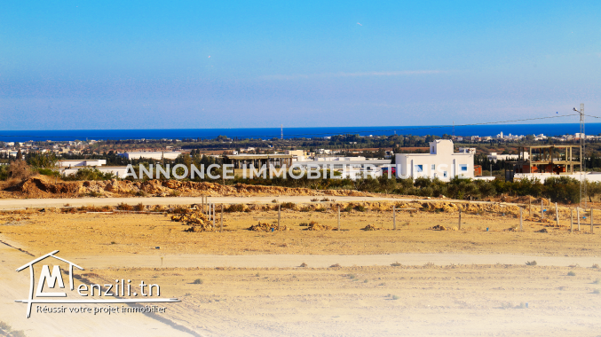 A Vendre un terrain a Hammamet Sud exactement sidi hamed 27246306