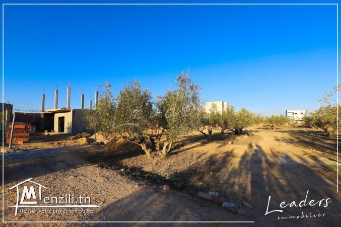 À vendre un terrain situé à MREZGA ????????????